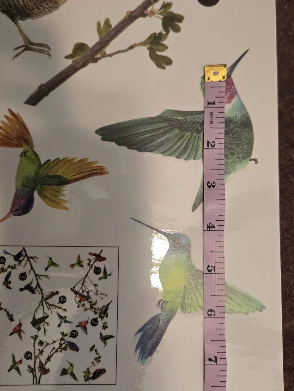 Bird & Branch Vinyl Window Clings Reusable No Adhesive